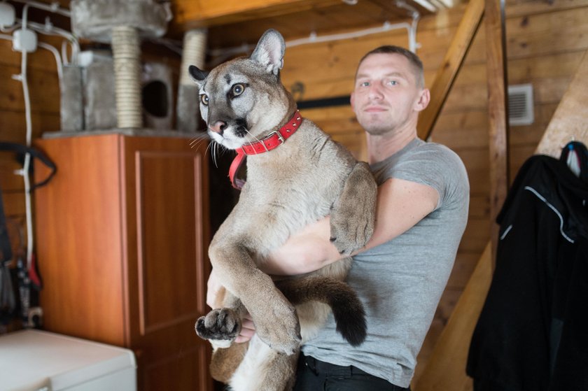 Grożą dyrektorce zoo