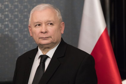 Jarosław Kaczyński o przepisach dot. wycinki drzew: Do poprawy