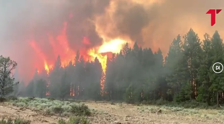 Požar kod Šibenika