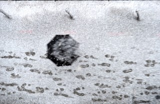 Klimat ma znaczenie. Jak prognozy pogody wpływają na politykę