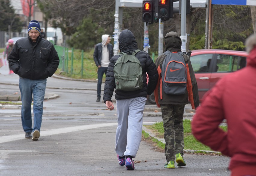 Ideja o testiranju potekla od roditelja