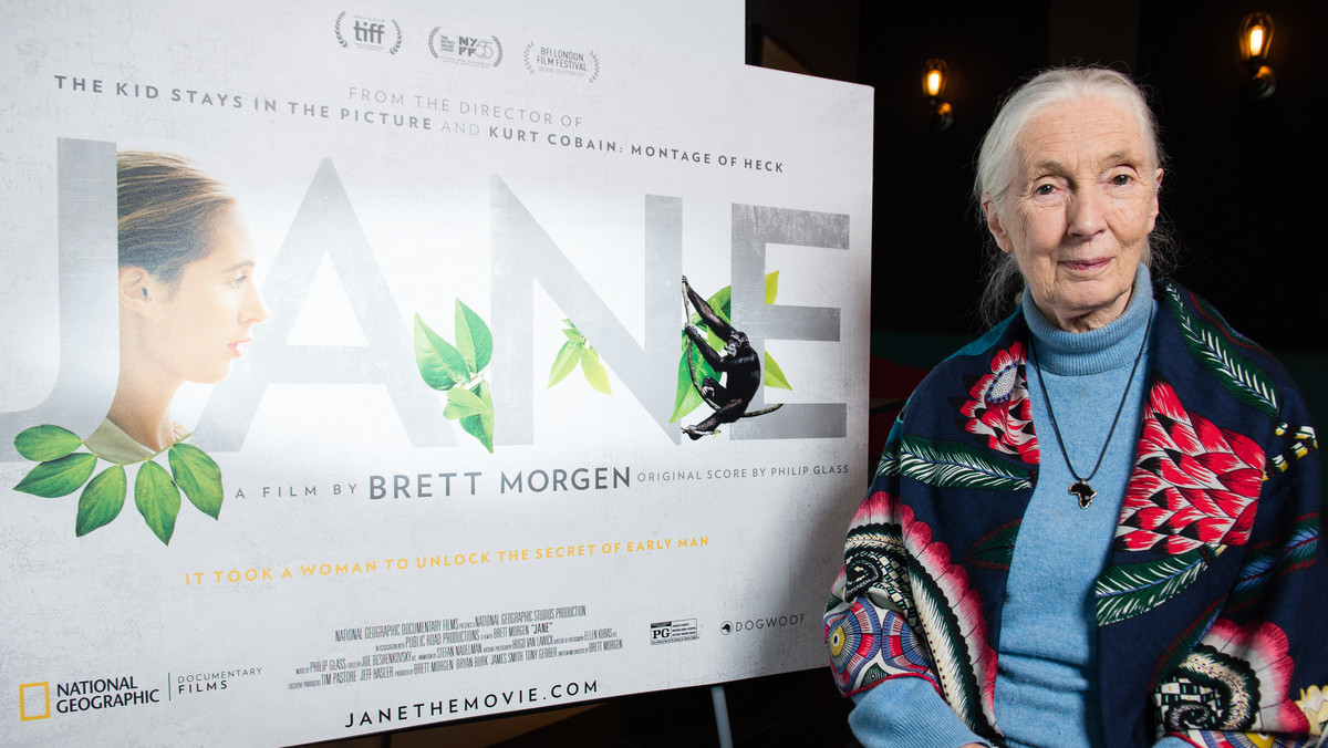 Ten dzień należał niewątpliwie do Jane Goodall, bohaterki filmu „Jane” Bretta Morgena, zrealizowanego w oparciu o zaginione przed laty archiwalia pochodzące z pierwszych ekspedycji słynnej naukowiec do Afryki. Oprócz tego w ramach Konkursu Dokumentalnego zaprezentowano kapitalny „Lęk” Pabla Aparo i Martína Benchimola. Twórcy zabierają w nim widzów na argentyńską prowincję, do miejsc, do których wciąż nie dotarły osiągnięcia współczesnej medycyny.