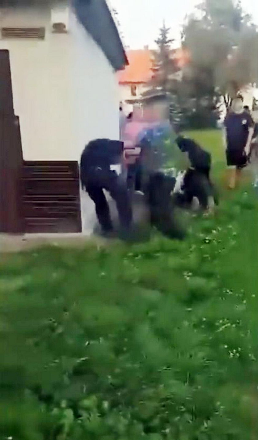 Szokujące sceny w Pastuchowie. Ojciec i syn pobili policjantów