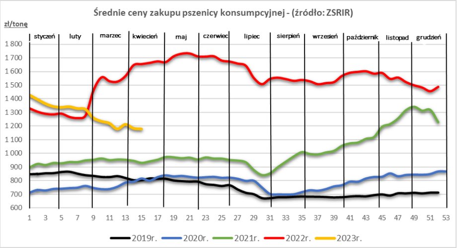 Ceny pszenicy wyraźnie zanurkowały w 2023 r. Z danych nie musi wynikać jednak, że to wina zalania rynku zbożem z Ukrainy.