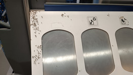Invázió a vonaton: szárnyas hangyák lepték el a MÁV egyik járatát – Így nézett ki az utazó hangyaboly – fotók
