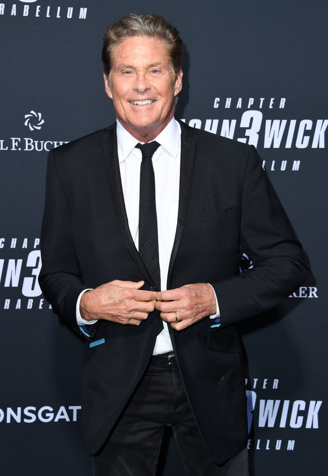 David Hasselhoff (2019)