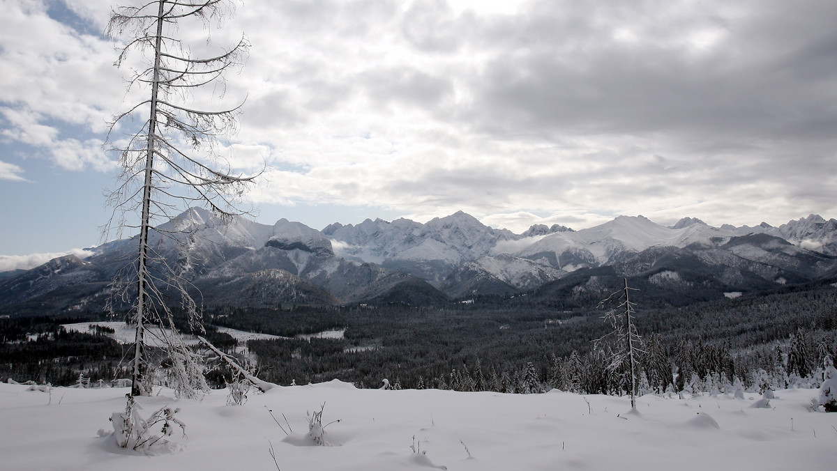 W Zakopanem spadł pierwszy w tym sezonie śnieg. W mieście leży cienka warstwa białego puchu, a termometry wskazują jeden stopień Celsjusza. Na Kasprowym Wierchu w Tatrach rano leżało już 4 cm śniegu, a temperatura na szczycie wynosiła - 8 stopni. Prognozy pogody mówiły o pierwszych opadach śniegu, które miały nastąpić dzisiaj.