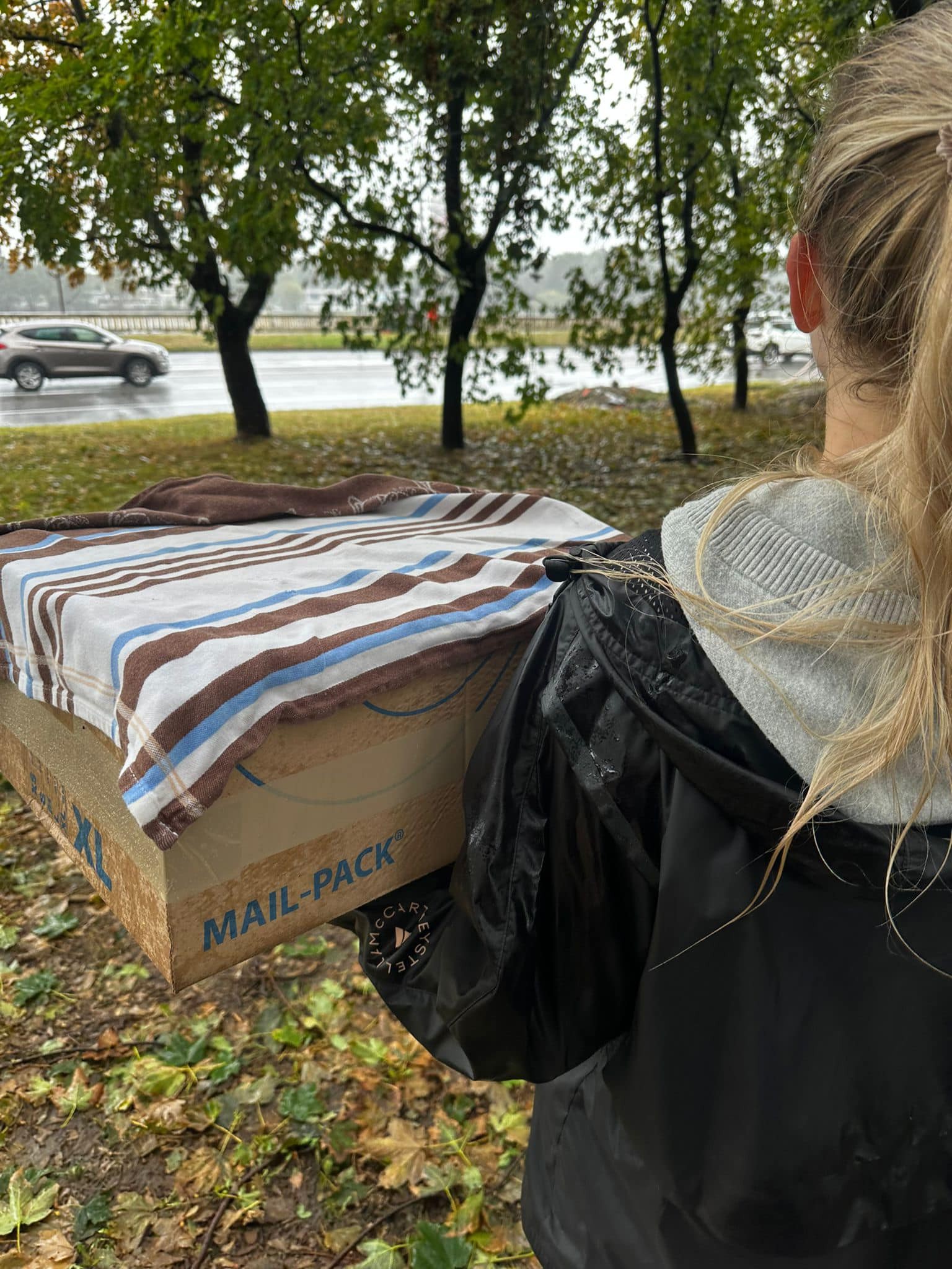 Kollár zachránil s dcérou Ester lastovičky.