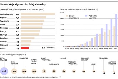 Sklepy internetowe - ile można zarobić na wirtualnym handlu?