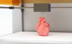 Żywe tkanki z drukarki 3D