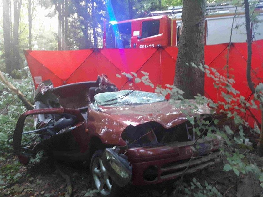 Odnalazł w lesie rozbity samochód. Wewnątrz były zwłoki