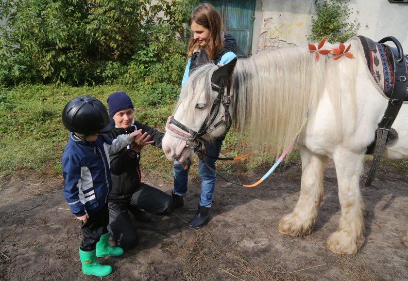 Zbiórka na Florę, klacz do hipoterapii