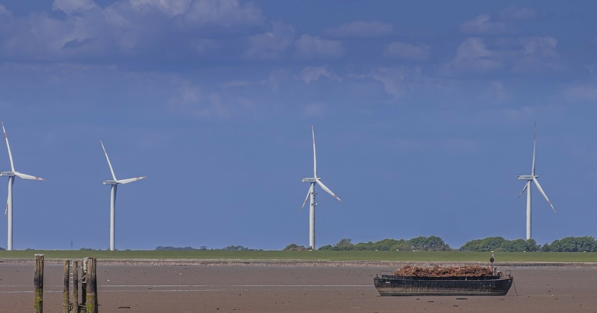 From a miner to a windmill expert. You can earn a lot.