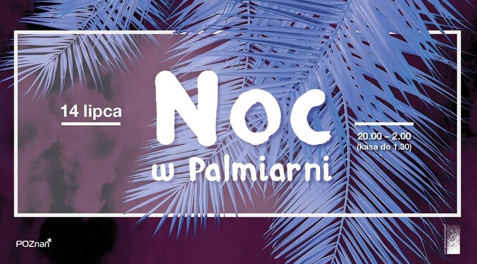 Noc w Palmiarni