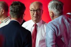 Wybory 2023. Co Lewica oferuje zwierzętom. 'Jesteśmy jedyni'