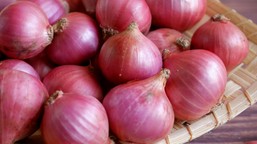 cebula – niepozorne warzywo o wielkiej mocy. jak ją wybierać, kroić i