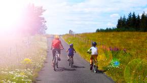 Beliebte Kinderfahrräder mit 24 Zoll im Vergleich