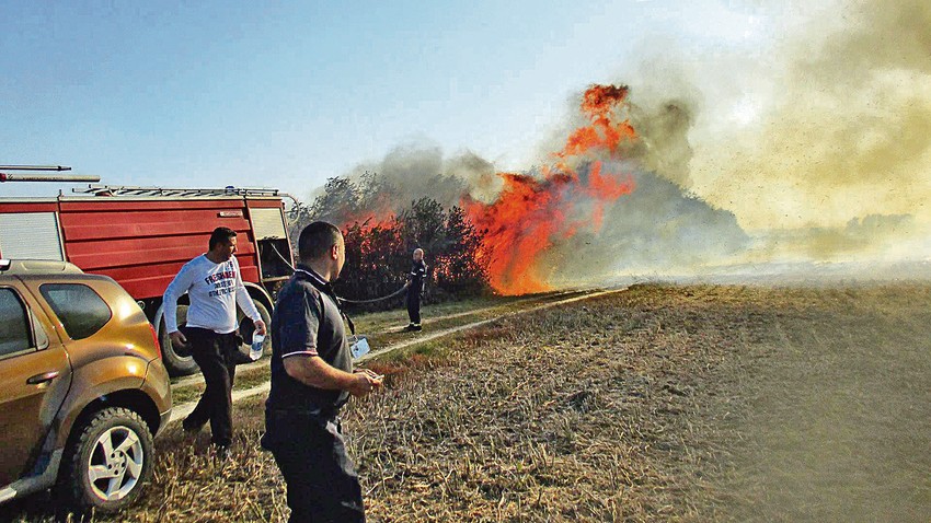 PONJAVICA: Posledice paljenja strnjike