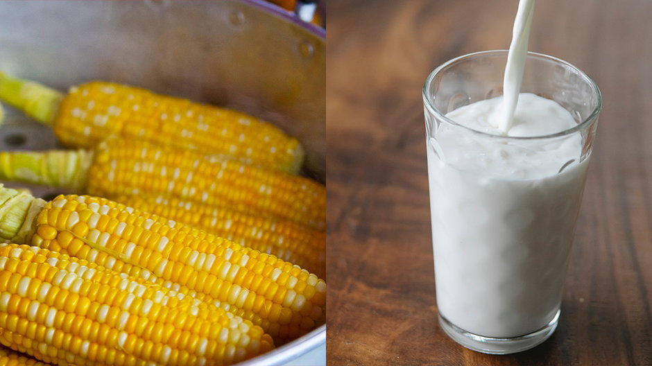 Gotowanie kukurydzy w mleku
