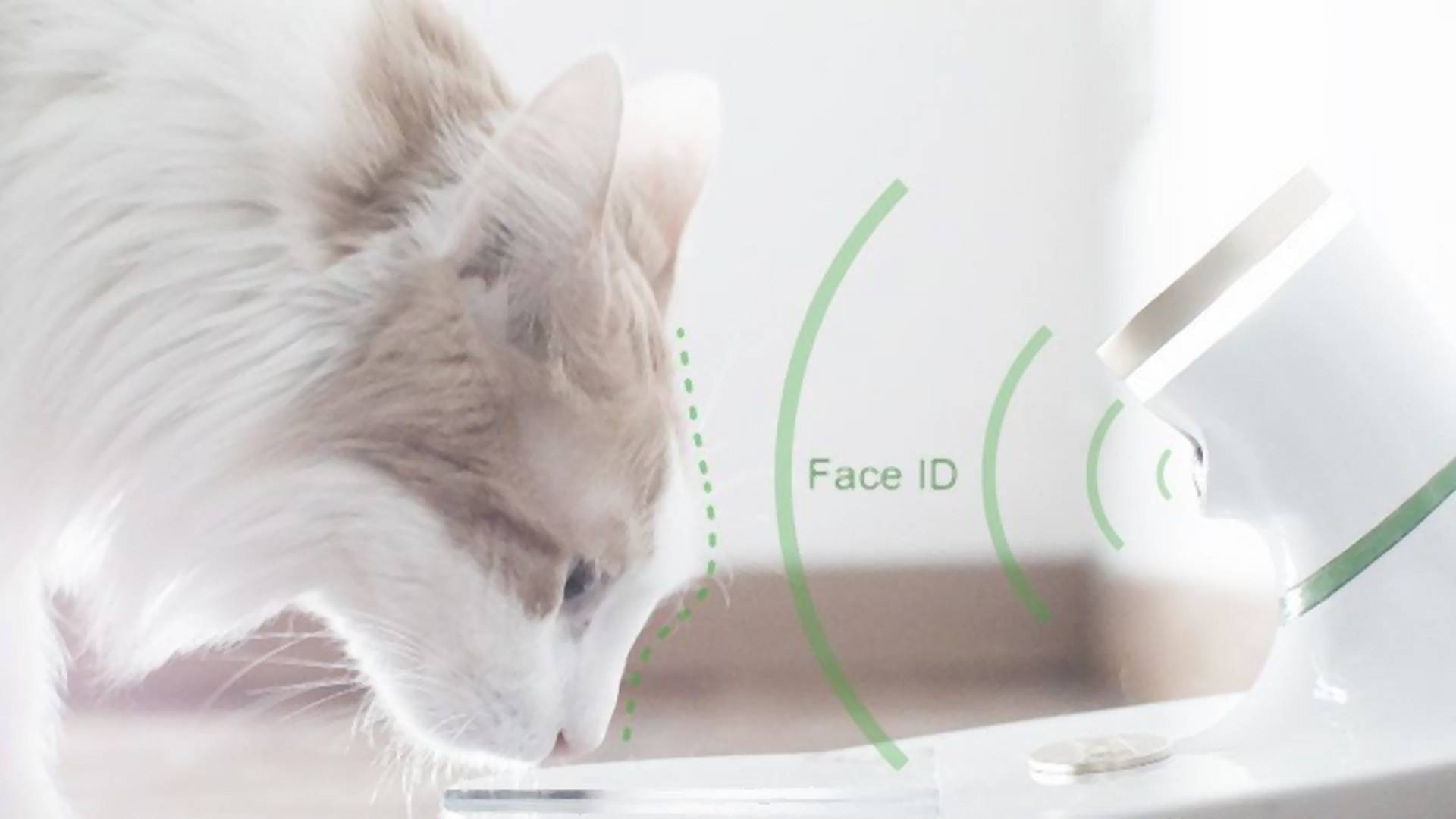 Na, ne már! Érkezik a Face ID-s macska etetőtál