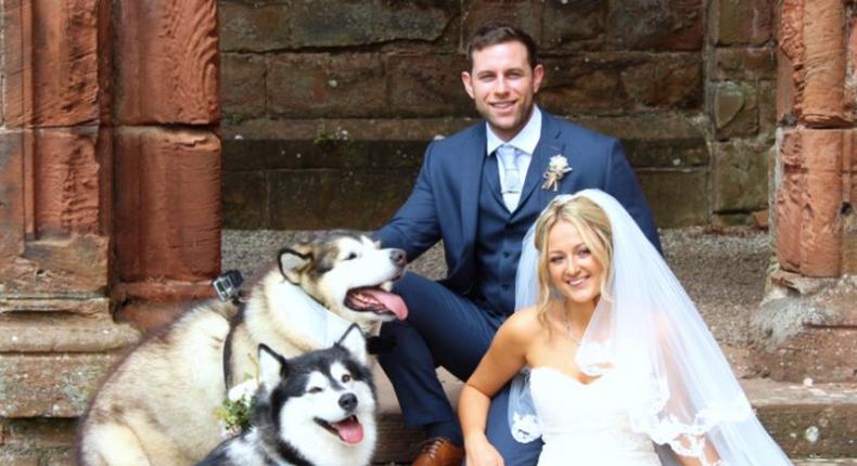 This British couple includes pets in bridal party and it's so, so adorable