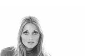 Sharon Tate 