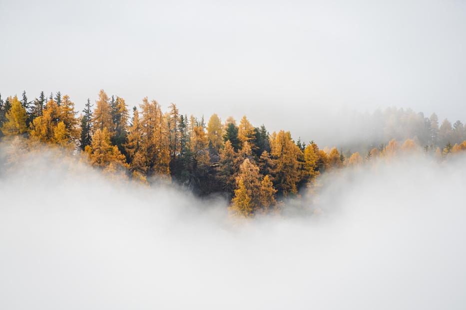 Vége a szép őszi időnek: jön a front? Fotó: Getty Images