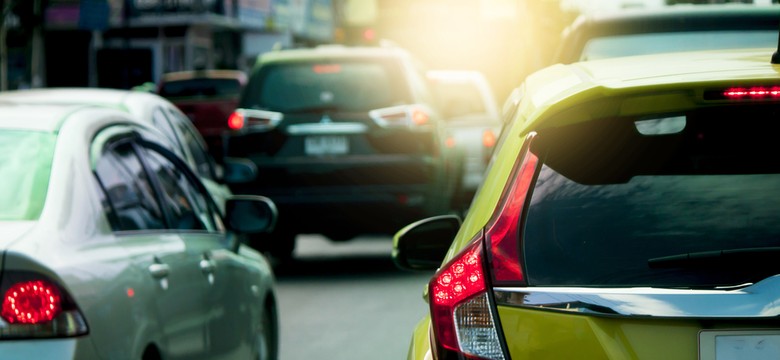 Niedźwiedź włamał się do samochodu i... urządził sobie przejażdżkę