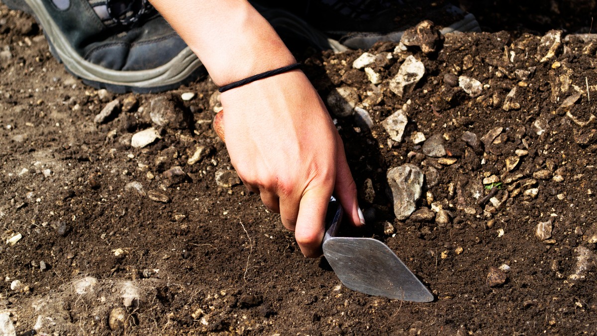 Kilkudziesięciu detektorystów weźmie udział w międzynarodowych badaniach archeologicznych, które odbędą się we wrześniu na Polach Grunwaldzkich. Prowadzone czwarty rok z rzędu poszukiwania mają na celu dokładne zlokalizowanie miejsca bitwy z 1410 roku.