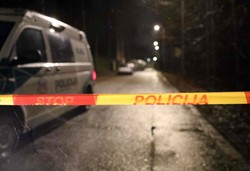 Litwa wprowadza godzinę policyjną. Będą obowiązywać punkty kontroli