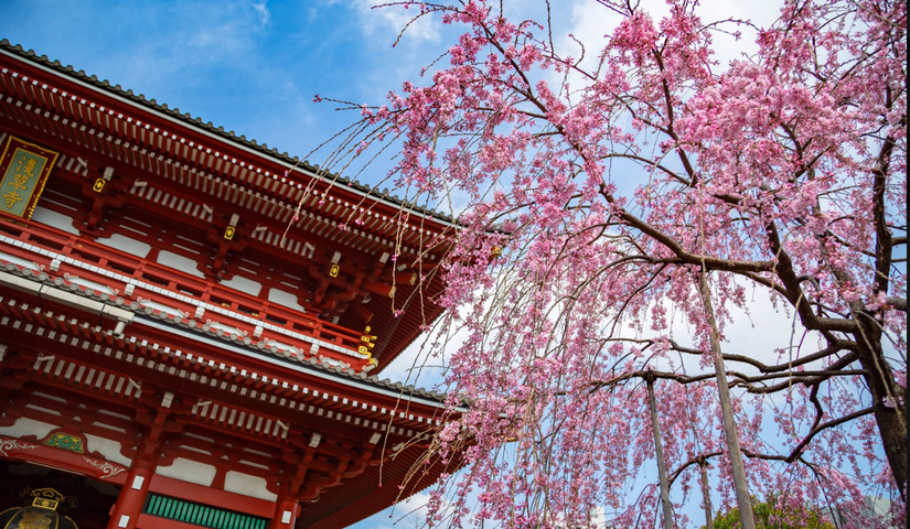 Japonia — królestwo słońca Asakusa