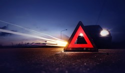 Dramat po kolizji. Wojskowy pies w szoku uciekł z klatki. Nowe informacje