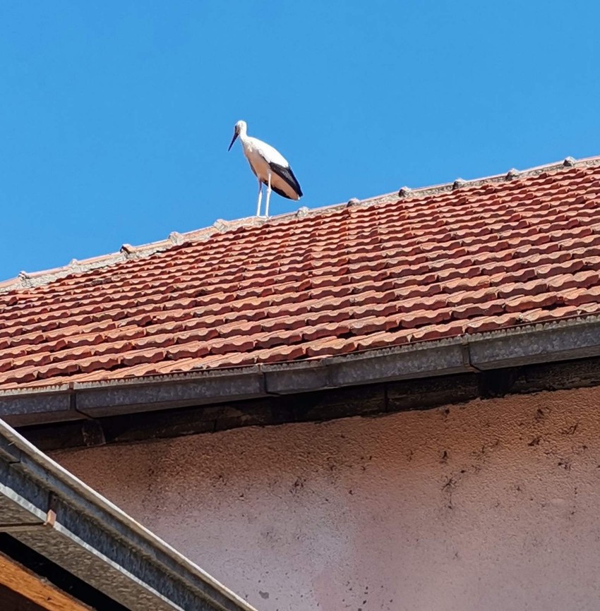 Sa rodama dobili nove đake