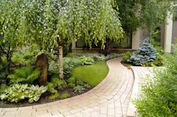 5 pomysłów na drzewa do małego ogrodu