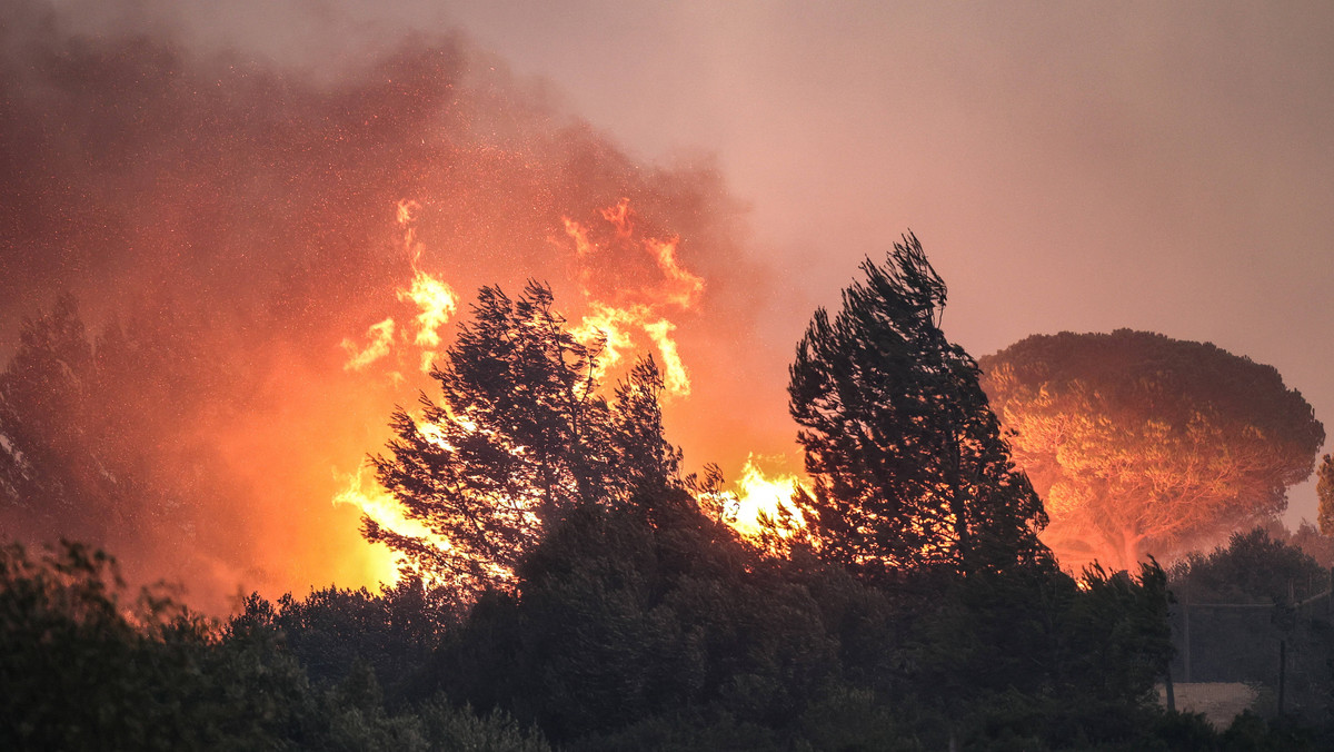 Pożary trawią kolejne kraje południa Europy. Czerwone alerty we Włoszech