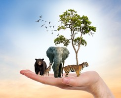 Ile pamiętasz z lekcji biologii? QUIZ. Mniej niż 8/10 to znak, że potrzebujesz powtórki