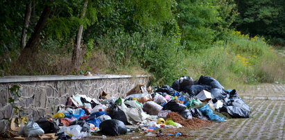 W Łodzi wciąż zalegają śmieci! A miało być czysto