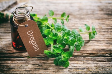 Az oregánó olaj rendkívül hatásos természetes antibiotikum, hihetetlen antioxidáns kapacitással rendelkezik. 