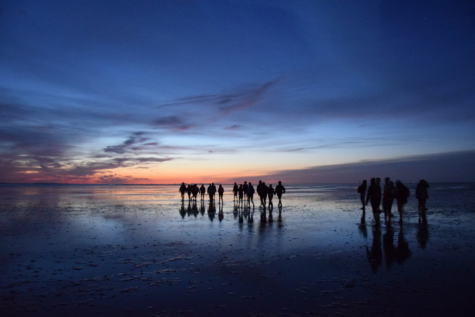 Mudwalk during the night