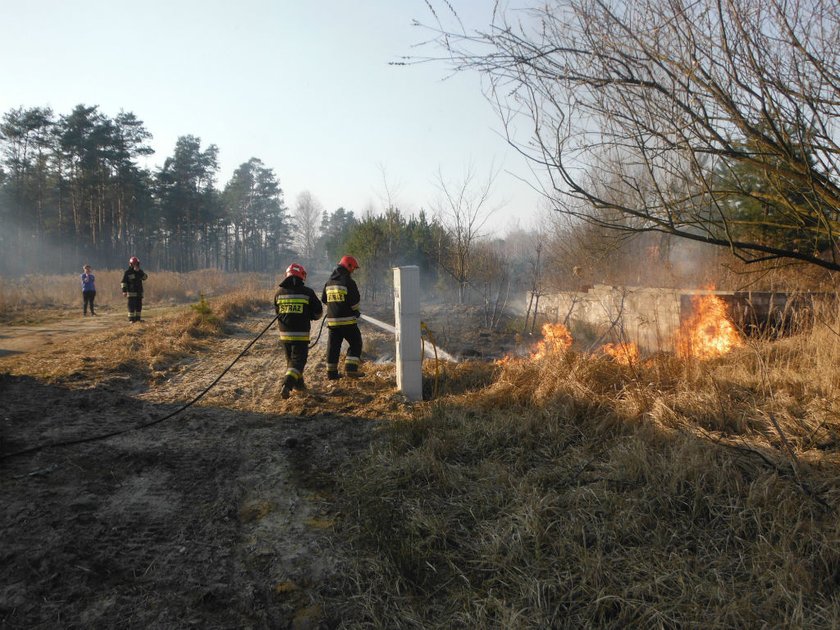 Plaga pożarów w Warszawie.