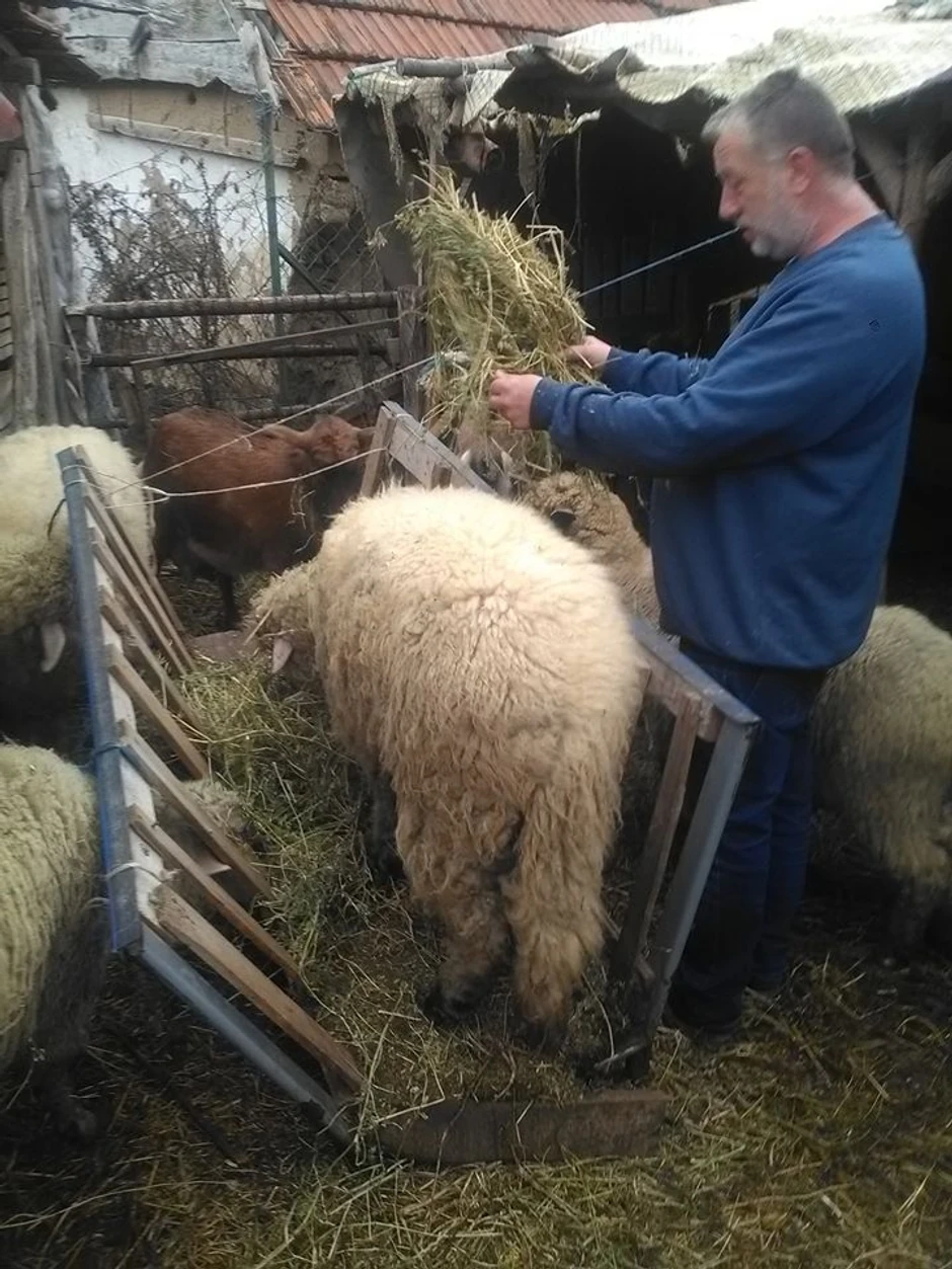 Ranko i njegova porodica 20 godina čuvaju životinje bez kojih bi sada mogao da ostane