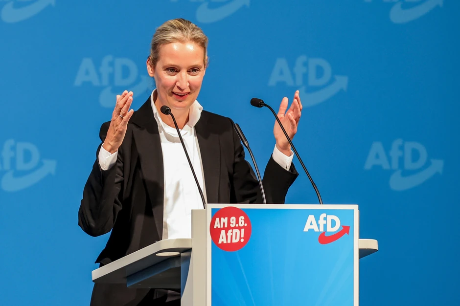 Alis Vajdel, federalni predsednik AfD