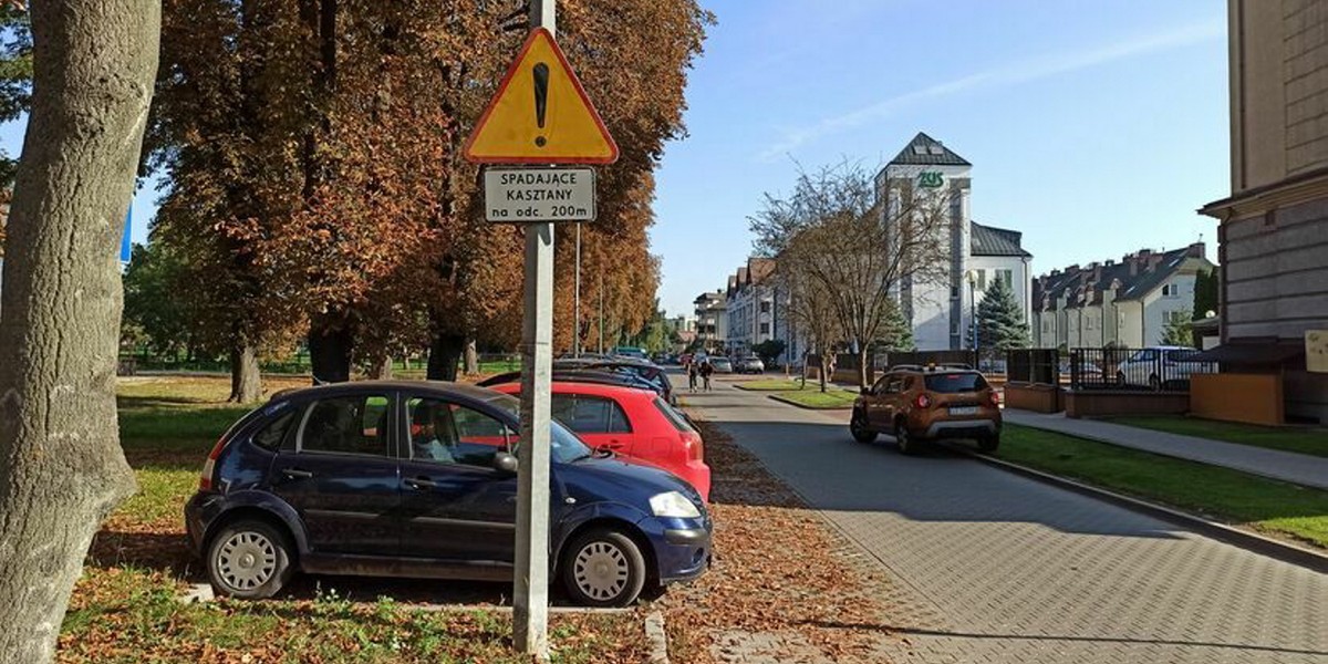 Spadające kasztany w Zamościu? Znak drogowy nie pozostawia złudzeń.