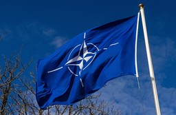 szwecja wysyła żołnierzy na grenlandię w ramach nato