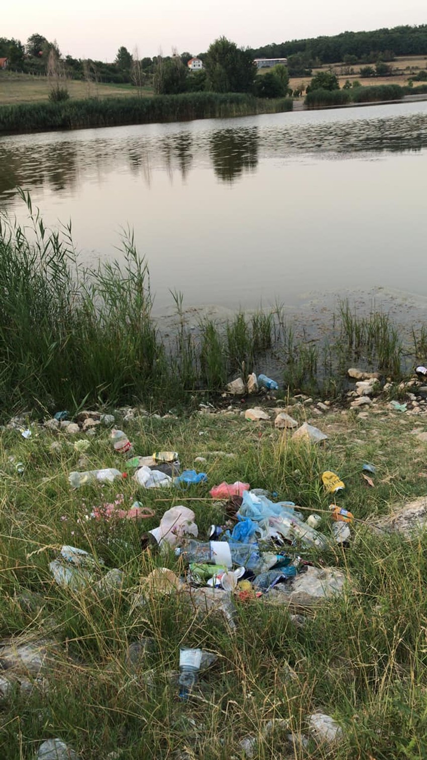 Ovako je izgledala obala Aleksandrovačkog jezera pre nedavne posete porodice iz Holandije