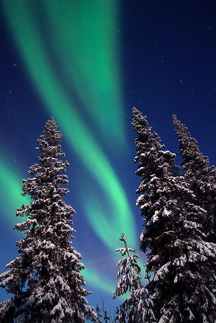 Galeria Finlandia - Zorza polarna, obrazek 13