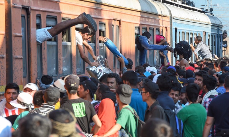 Węgrzy w obawie przed napływem nielegalnych imigrantów z Serbii zaczęli budowę muru.