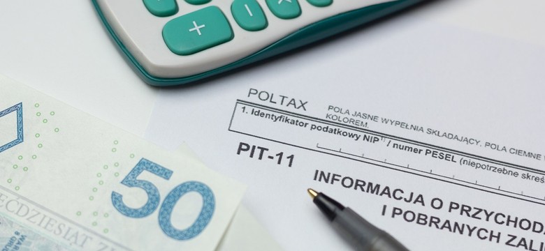 Najczęstsze błędy w rozliczeniu PIT. Ekspertka radzi, jak uniknąć kar