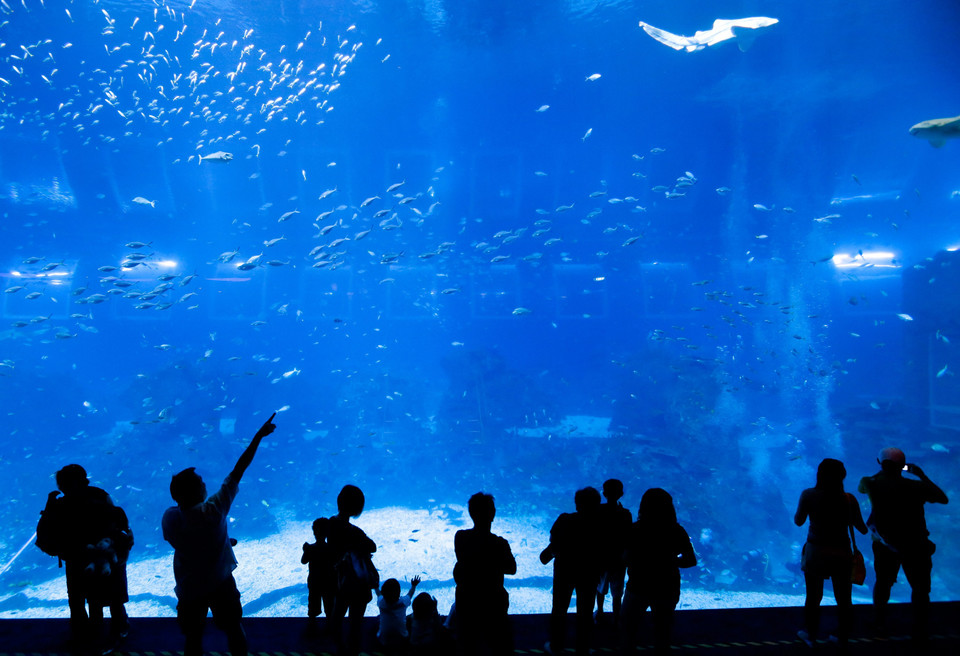 Singapur, Marine Life Park