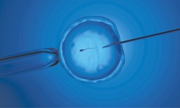 Rozpędzone in vitro. Samorządy inwestują w programy wspomagające dzietność